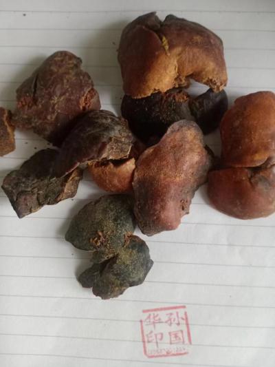 獭肝,水獭肝,獭肺的各自功效作用有那些,养殖商家