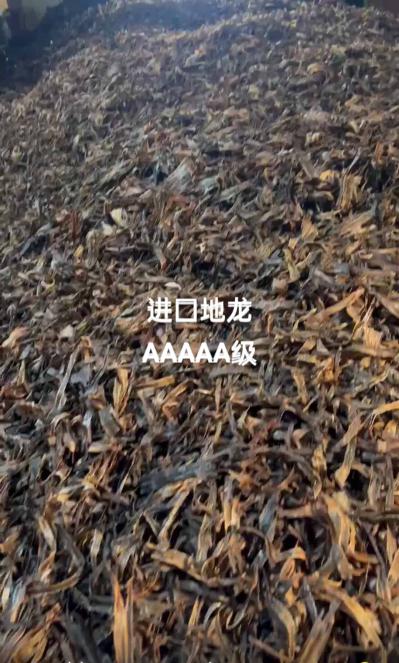 地龙