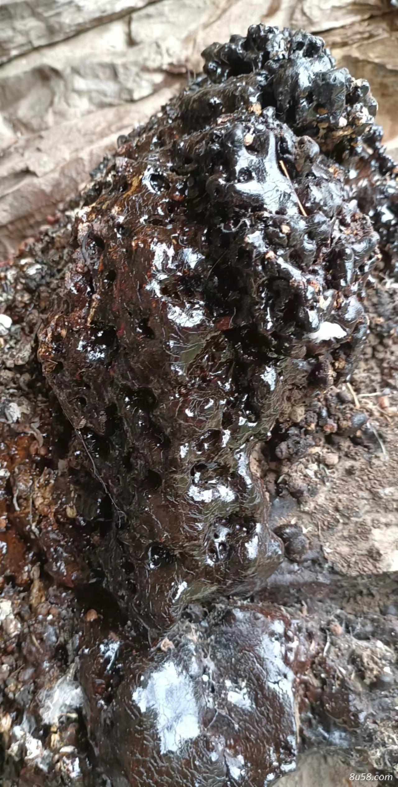 猴结（血灵脂）