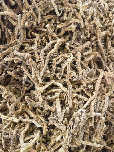 供应中药材知母个子价格电话沟通