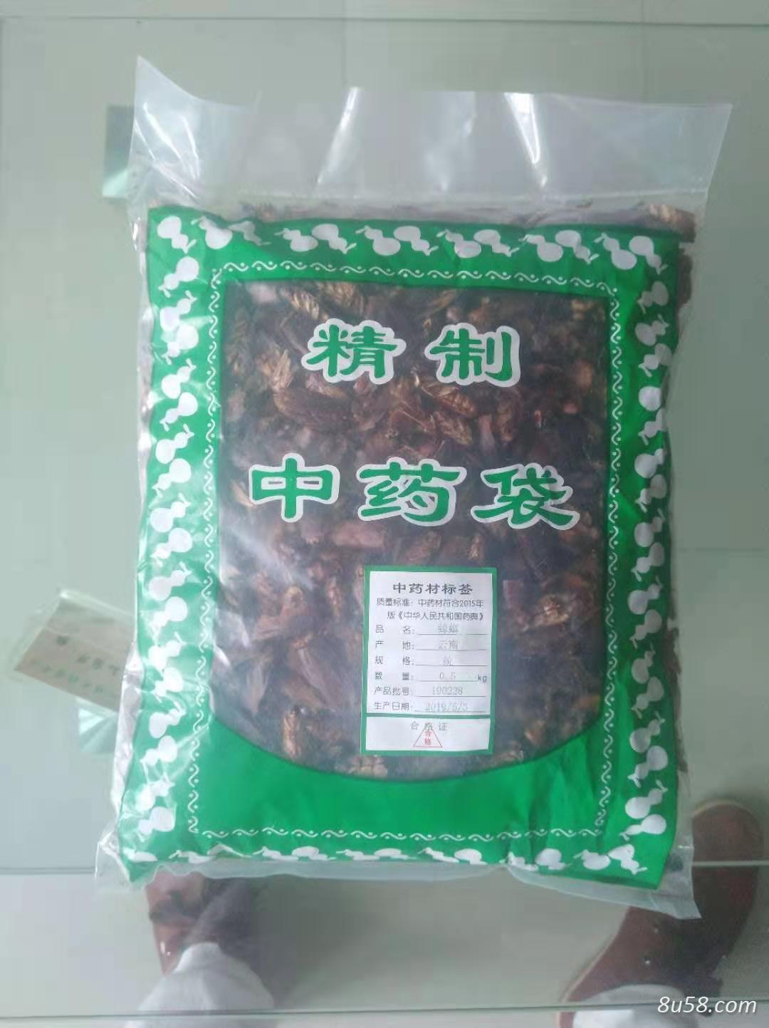 怎么买到无菌医用蟑螂