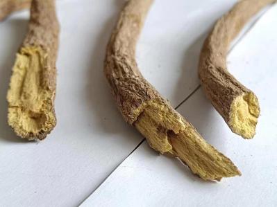 甘草