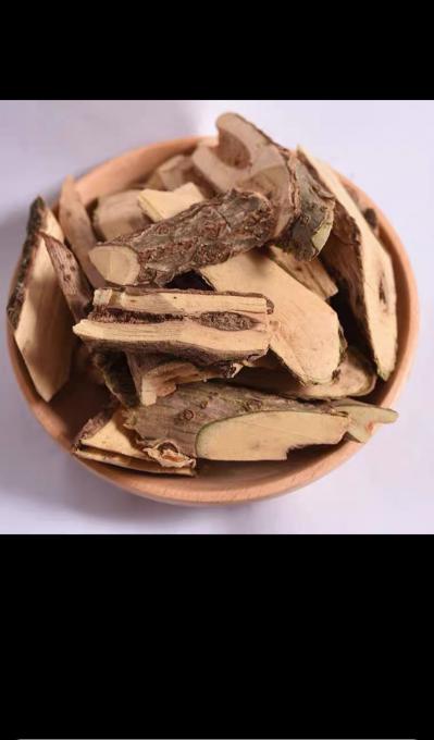 大量接骨木出售