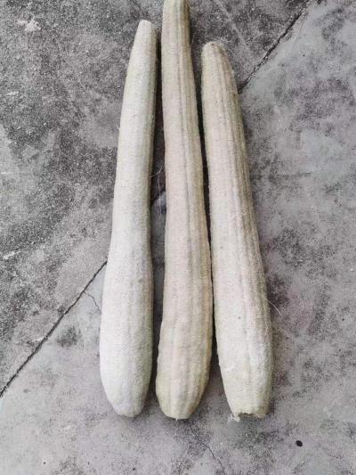 丝瓜络出售