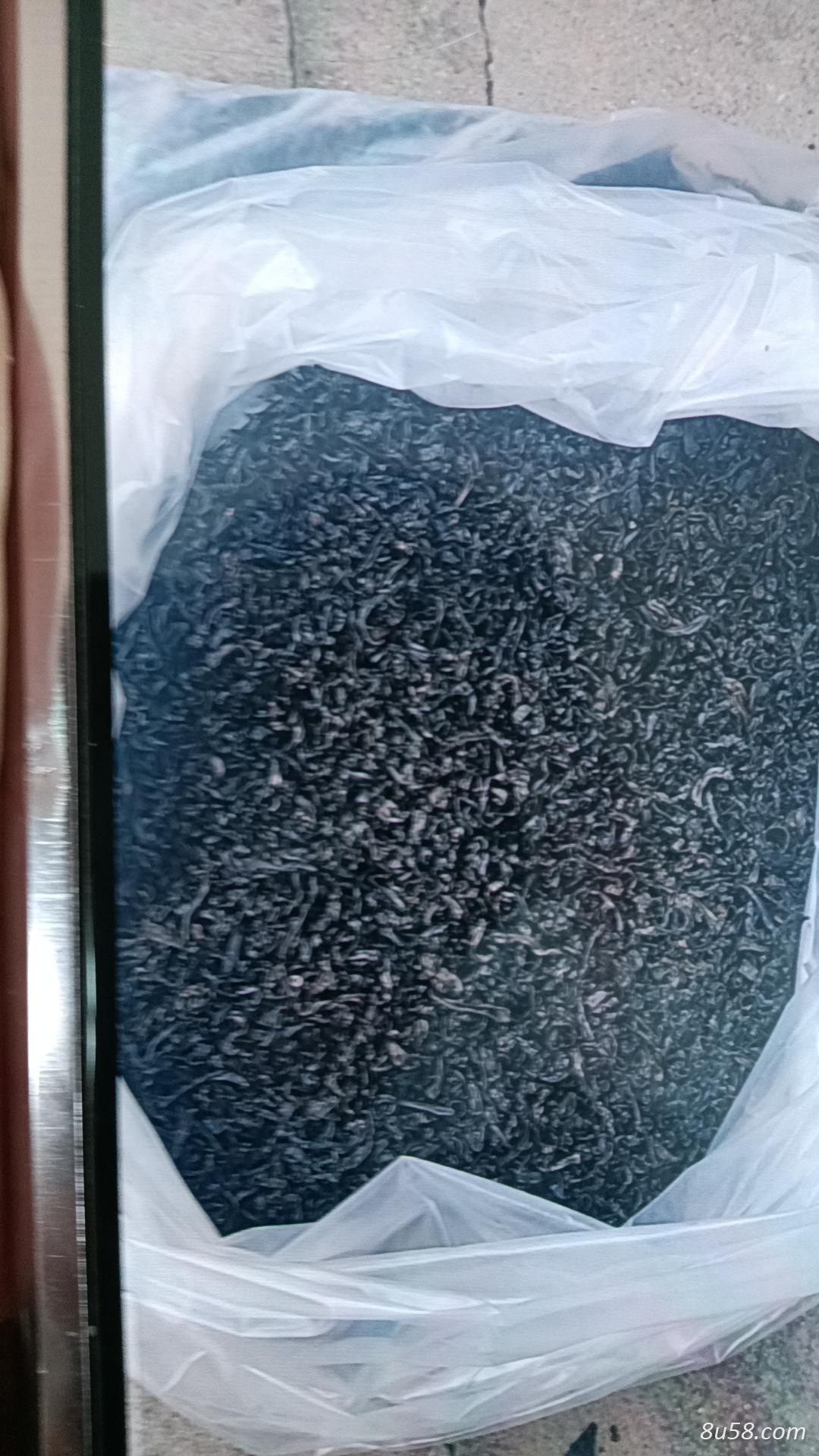 东北小水蛭