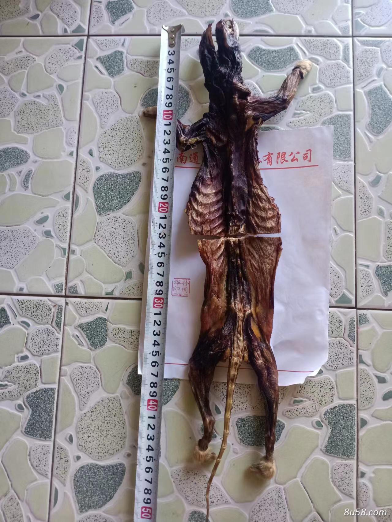 黄鼠狼风干肉带内脏肺心肝的多少钱一只--孙国华