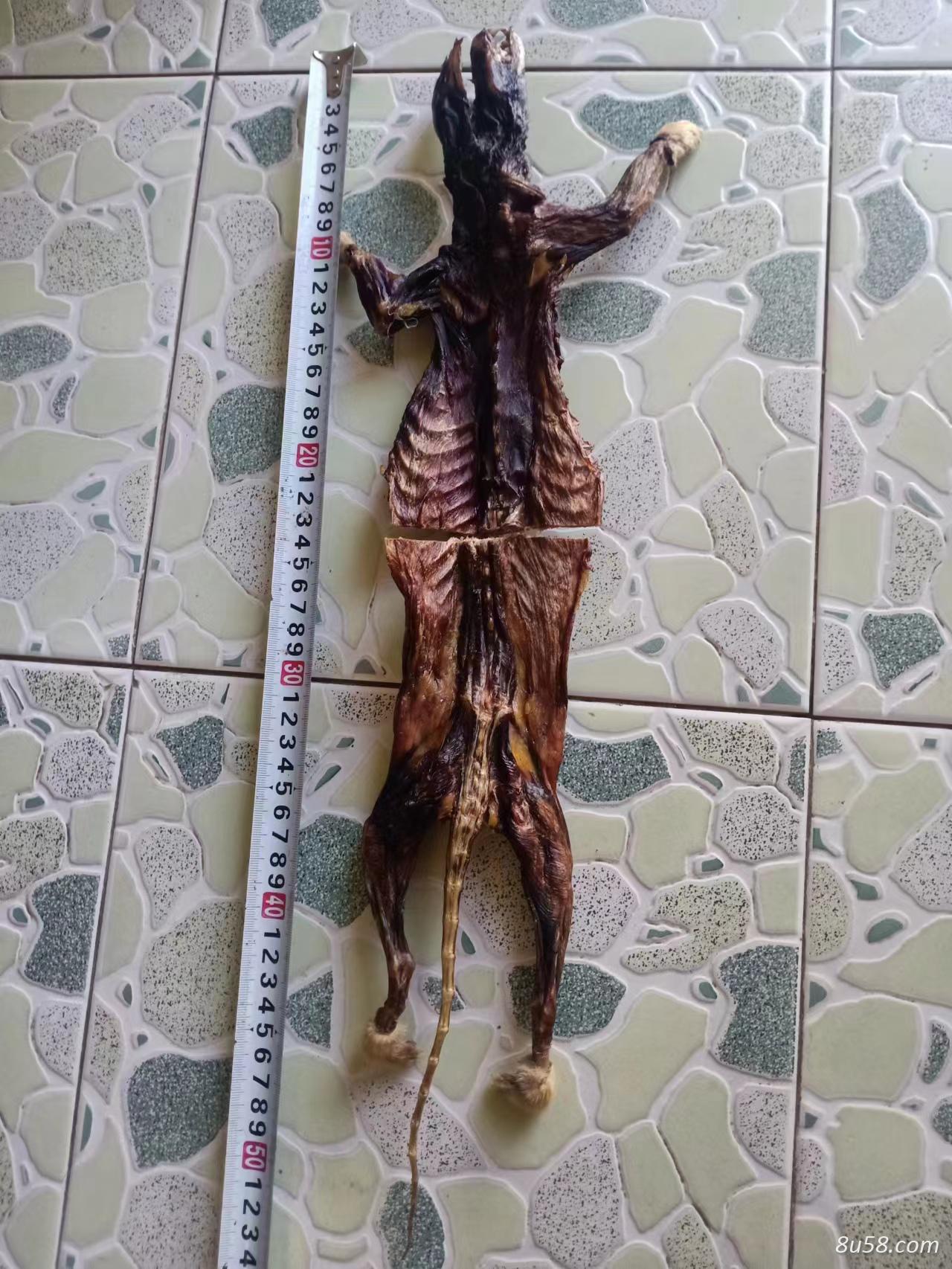 黄鼬粉,黄鼠狼干粉,鼬鼠粉,黄皮子粉一袋的价格-孙国华