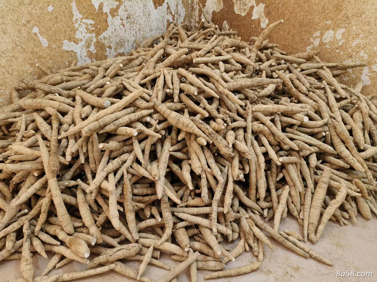 牛大力各种规格