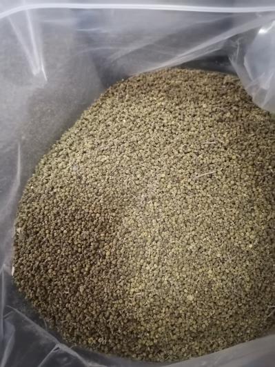 吴茱萸出售500kg干鲜货