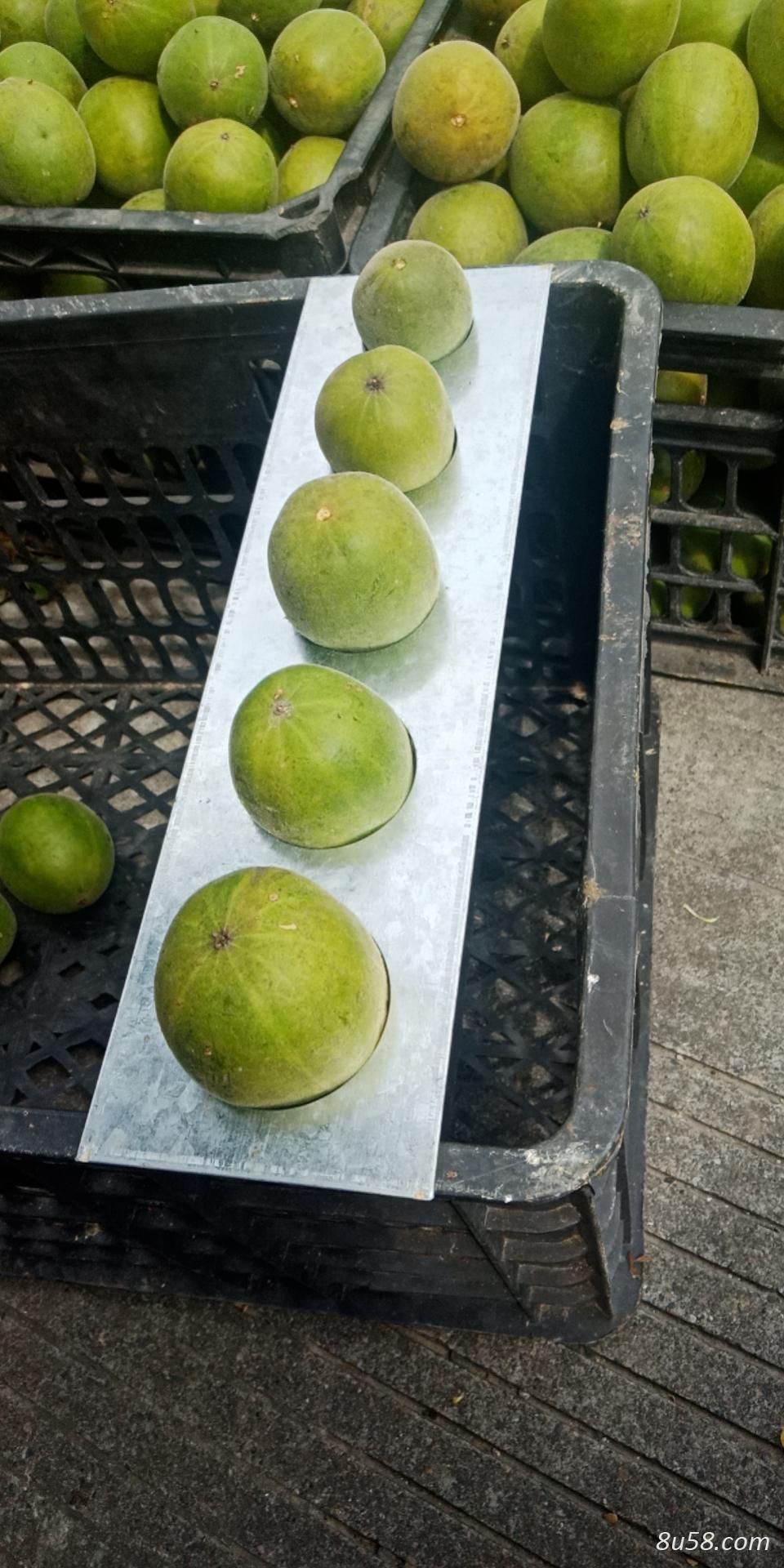罗汉果