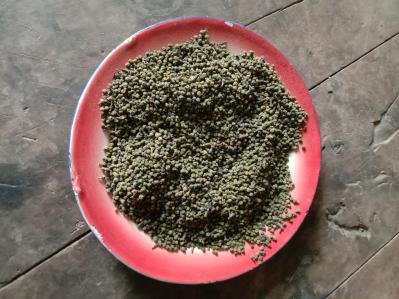 中花吴茱萸
