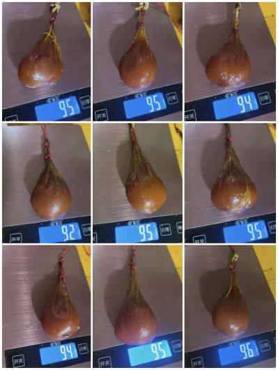 熊胆