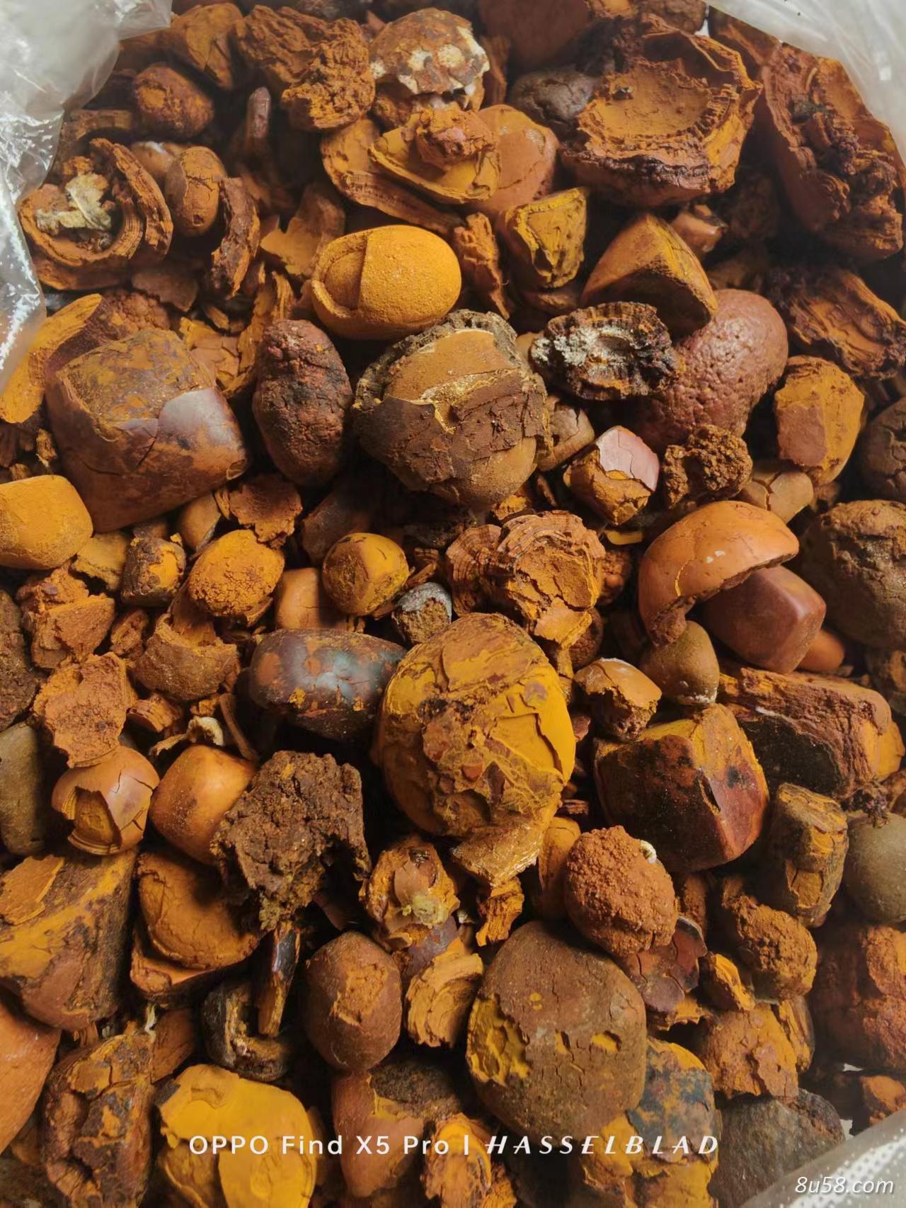 天然牛黄纯货，诚信经营