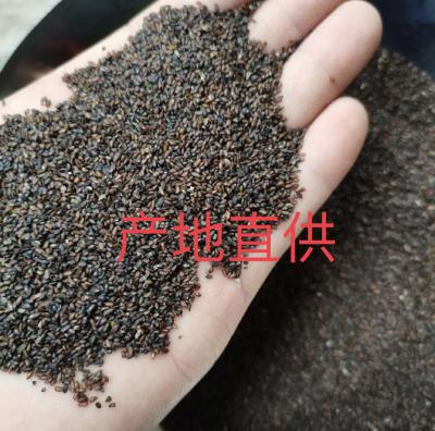 江西省新干县产地车前子信息资讯