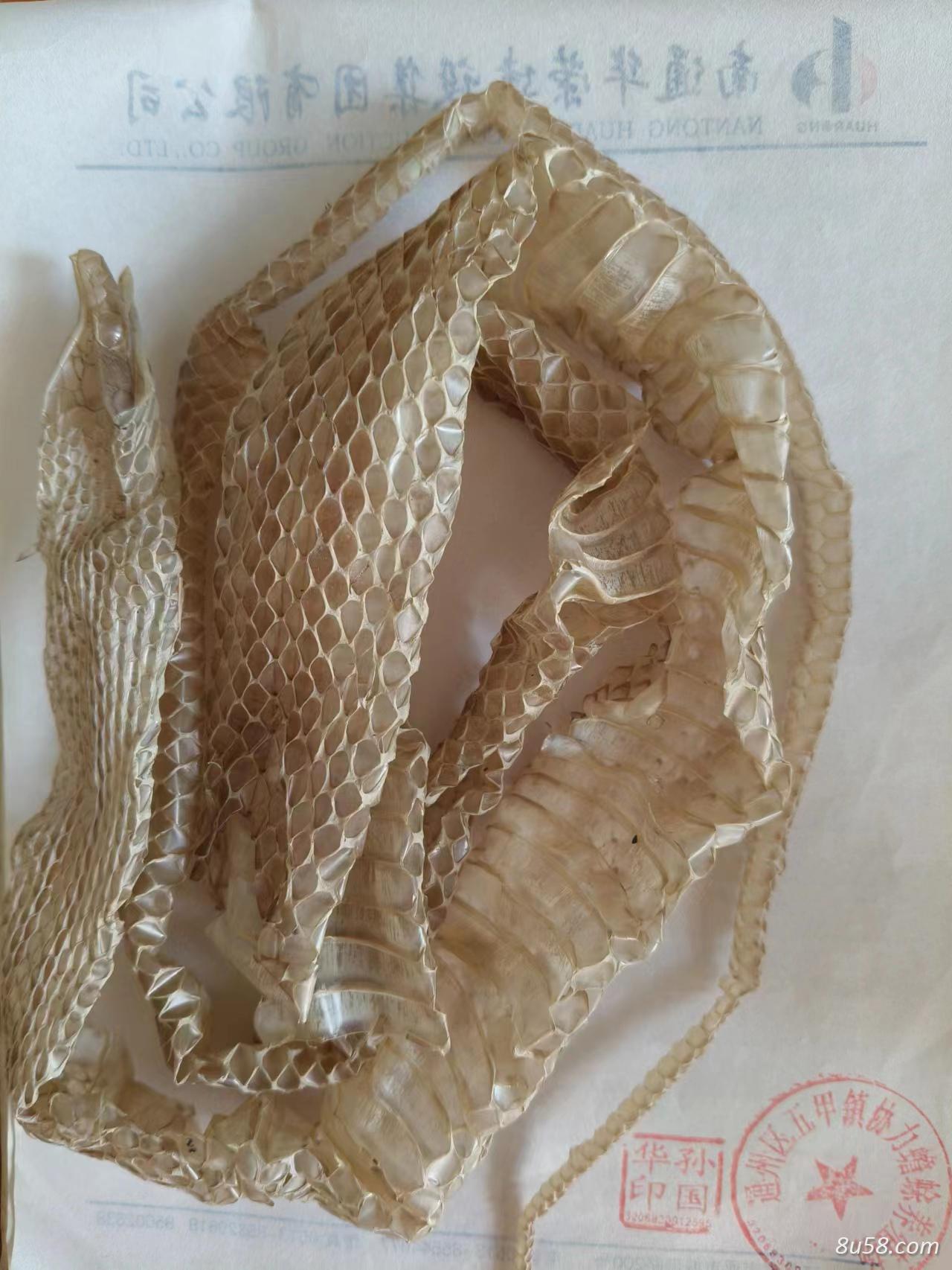 游蛇科中药蛇蜕,蛇壳,蛇皮,蛇退,长虫皮要去那儿买-孙国华