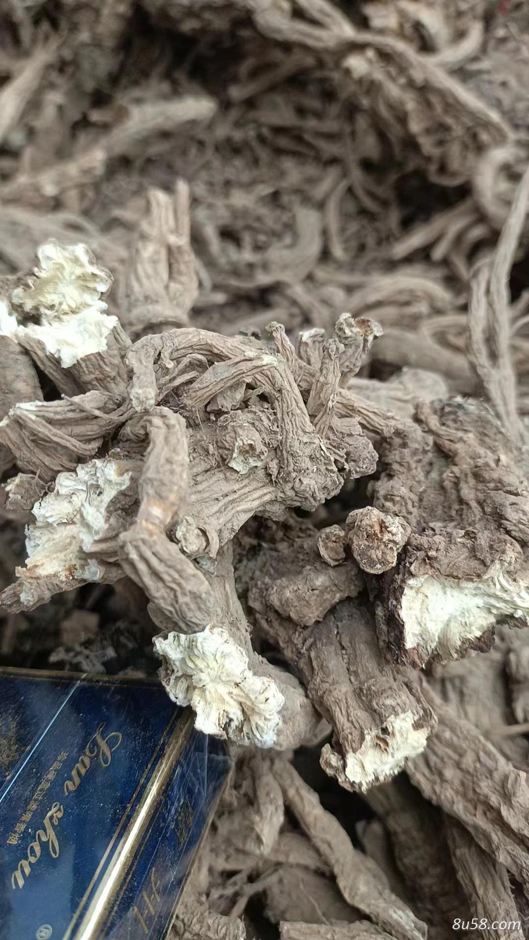 新货 独活出售亳州市场从这里进货，量大，含量够。