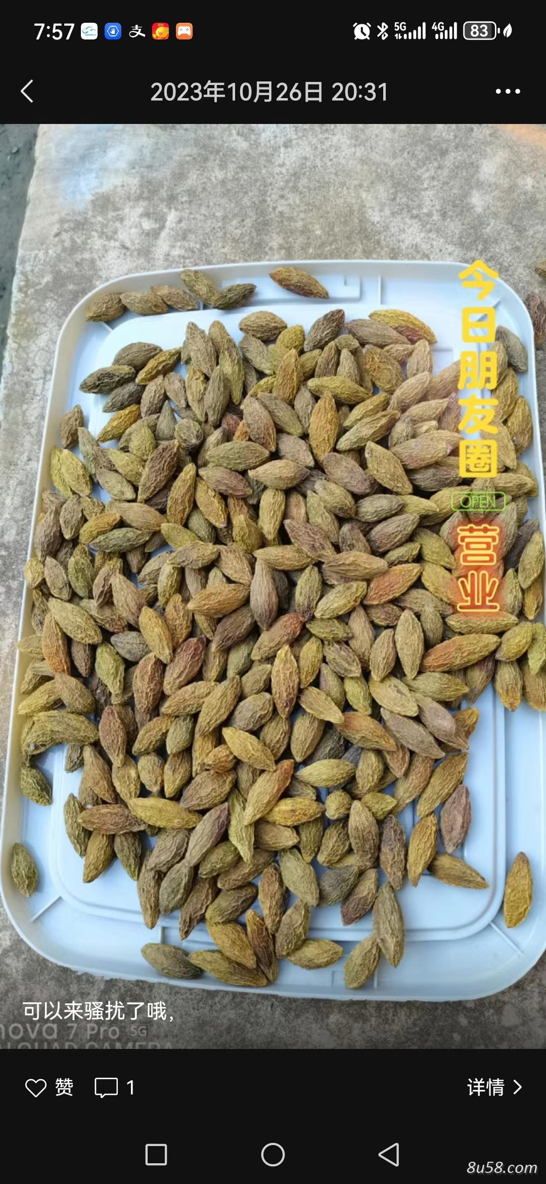 青果橄榄晒货，烤货，精品货，大货