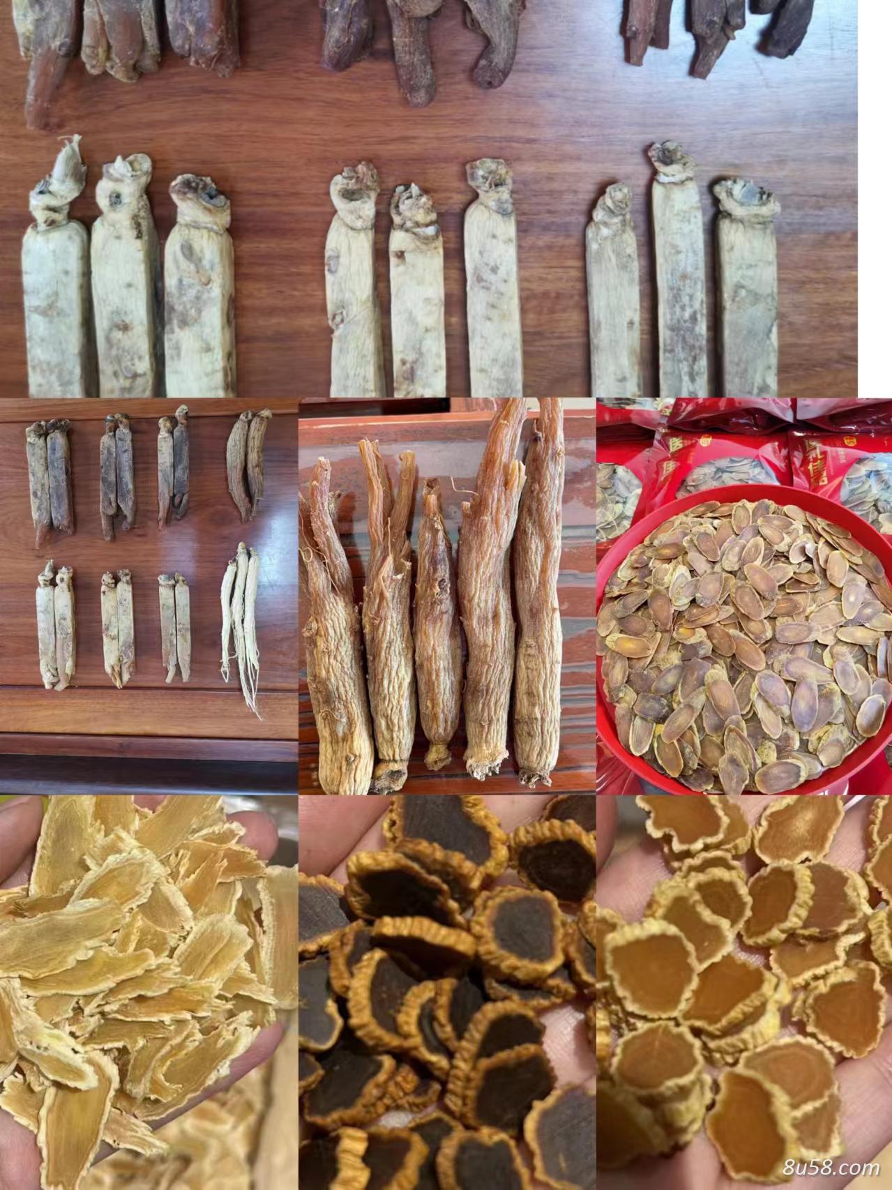 红参西洋参种植基地自产自销