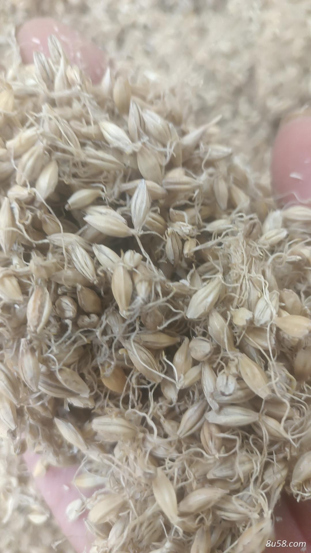 麦芽各种规格