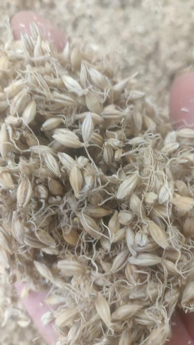 麦芽各种规格