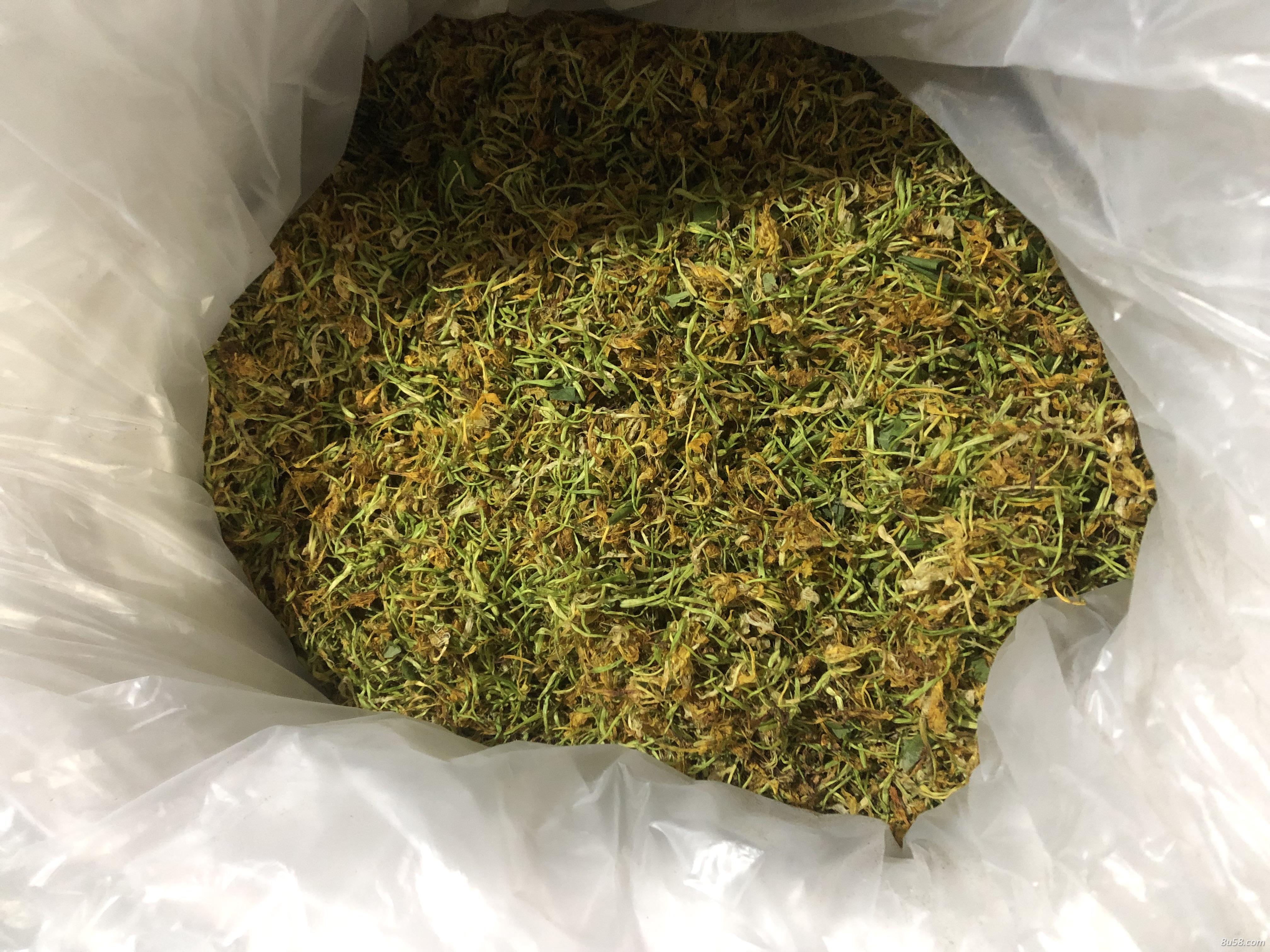 金银花