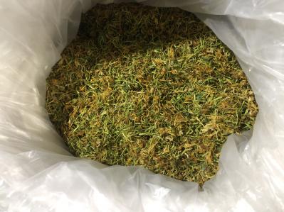 金银花