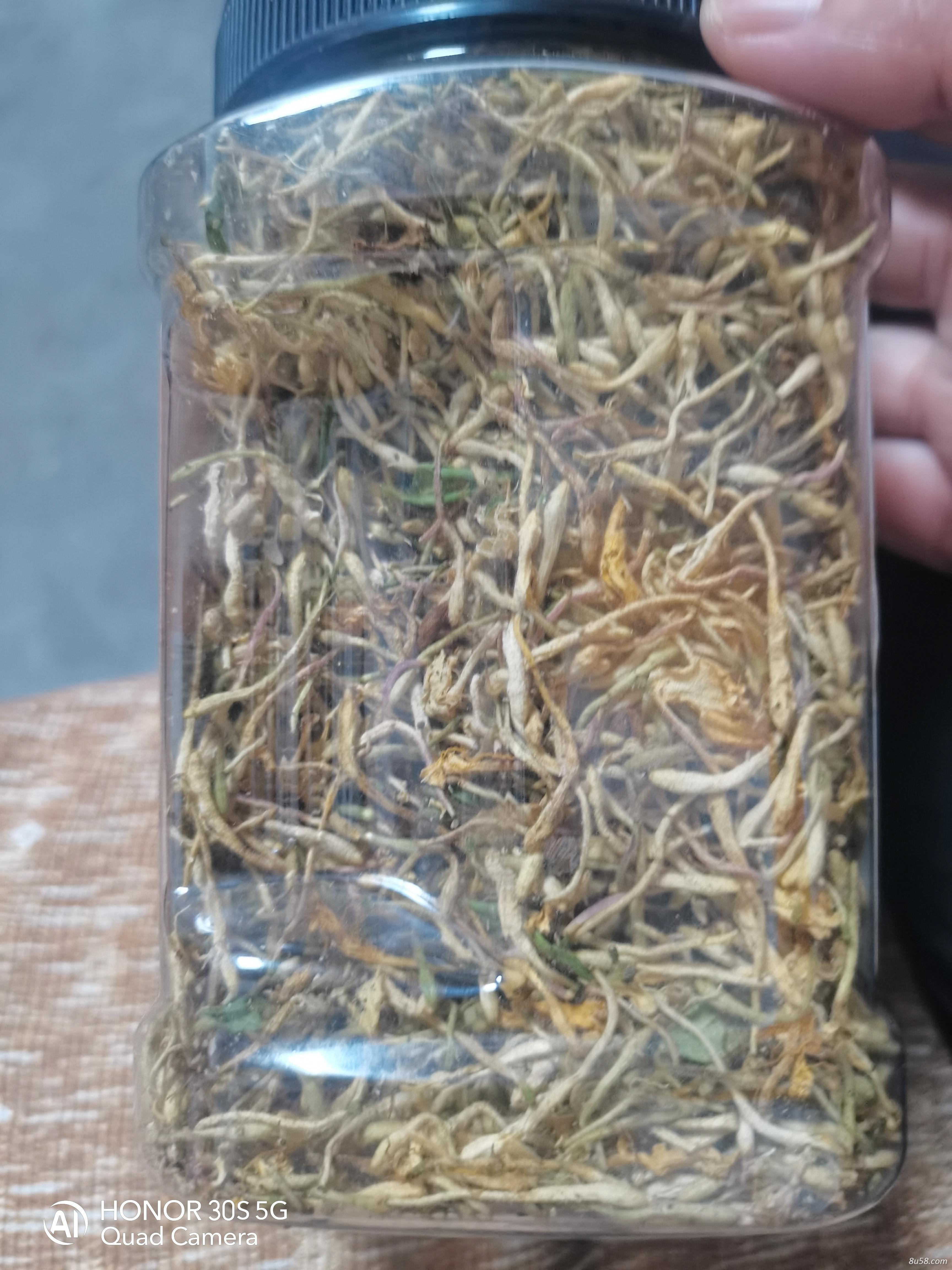 金银花出售 金银花出售