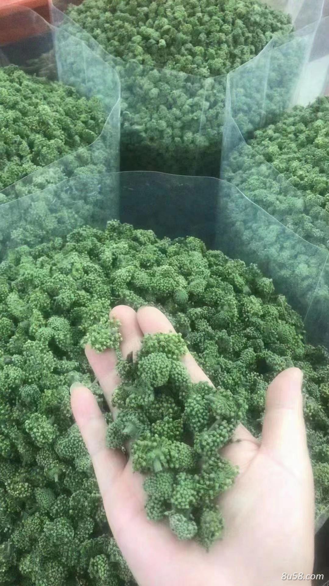 三七花产地是哪里？它的主要作用是什么？它能不能炖肉煲汤？
