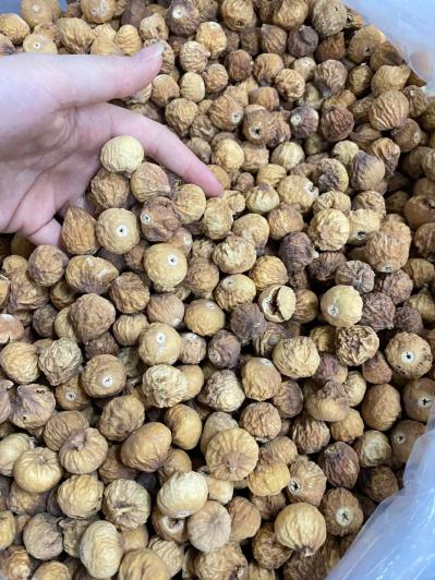 无花果哪里能买到正宗的无花果，无花果的作用与功效是什么？