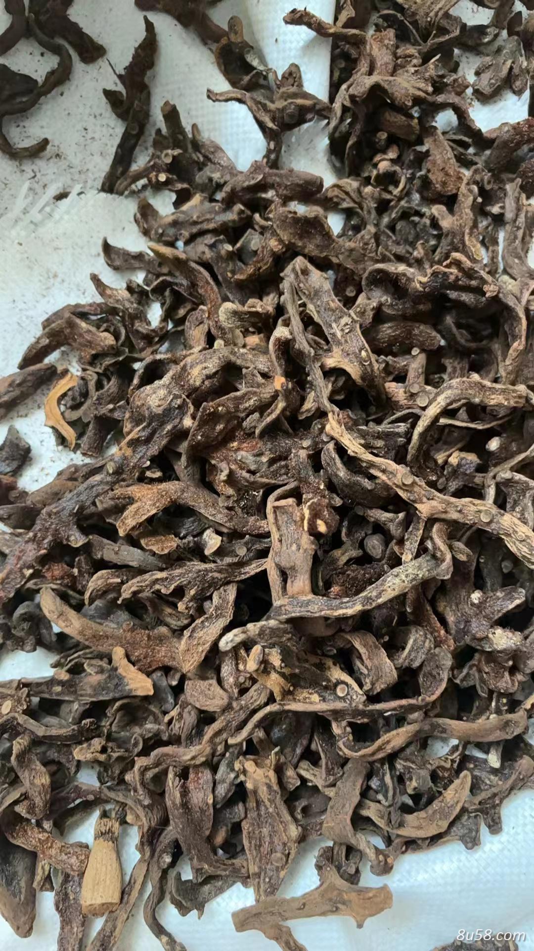 到哪里能买到正宗的骨碎补？