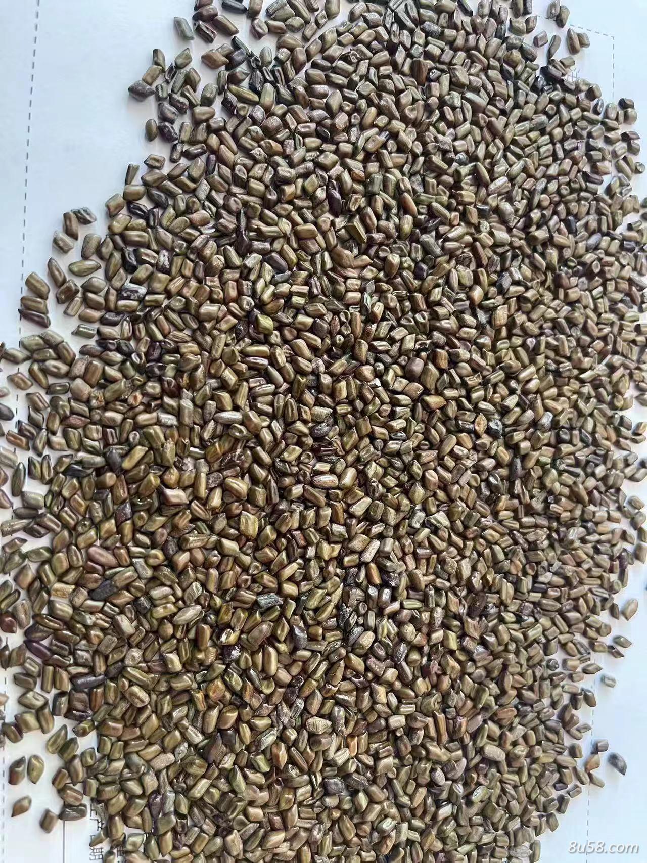 决明子