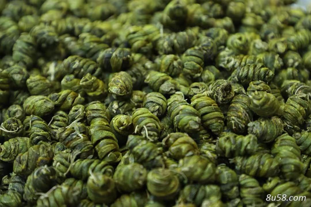 铁皮石斛