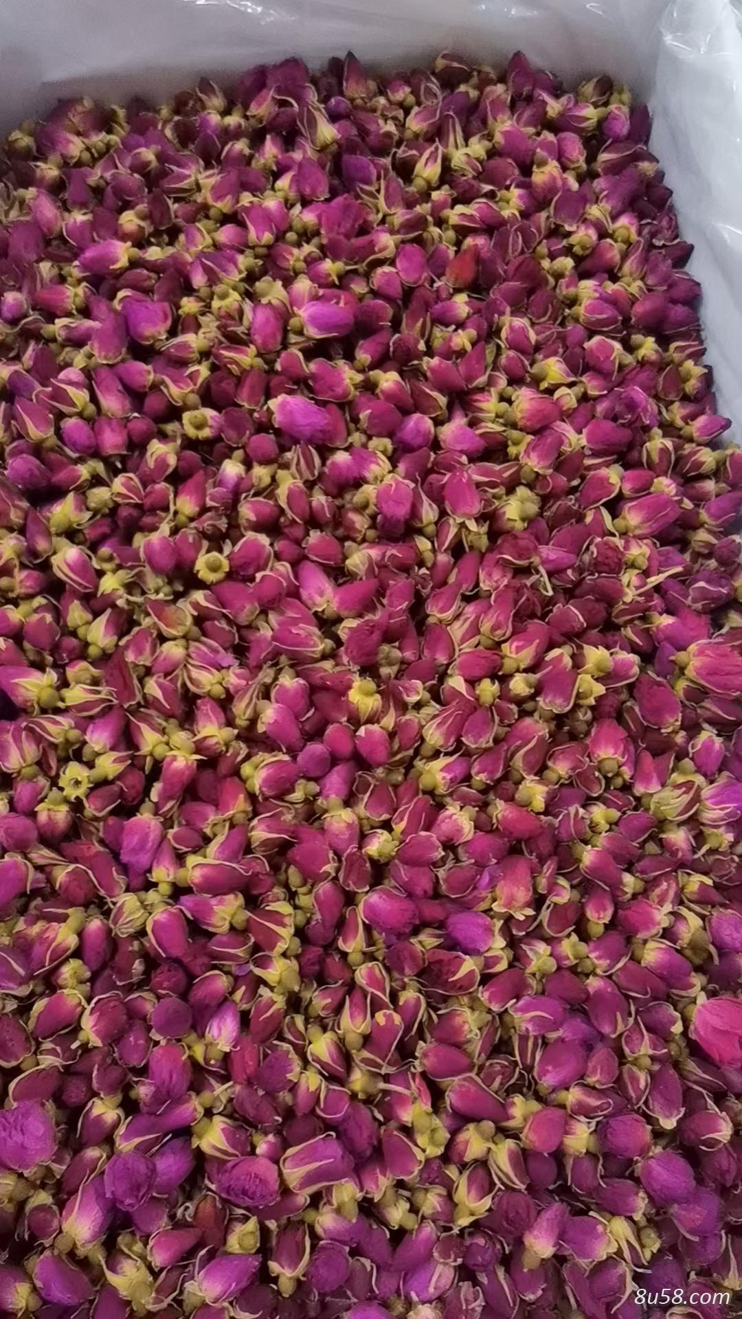 玫瑰花