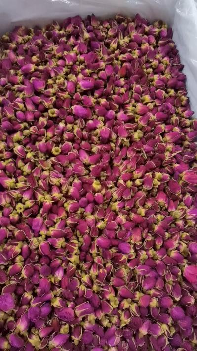玫瑰花