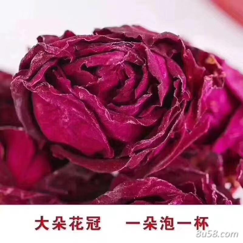 墨红玫瑰花
