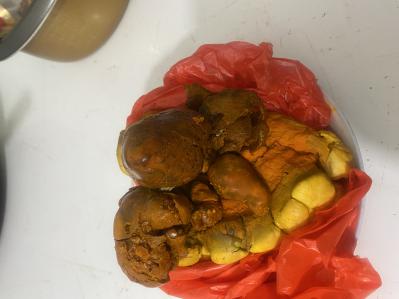 天然牛黄