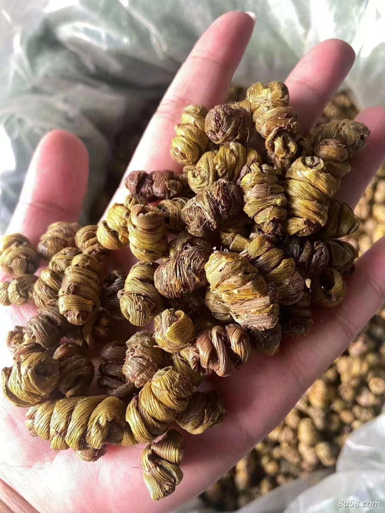 铁皮石斛枫斗