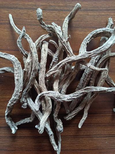 续断（个子）