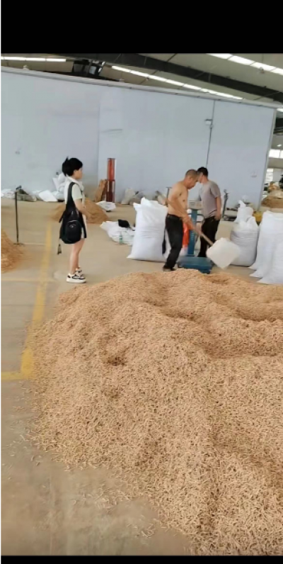 太子参，各种规格