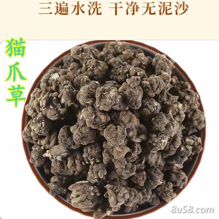 猫爪草