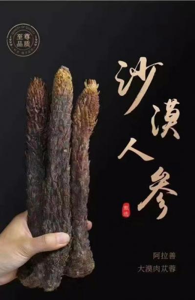 肉苁蓉（个）