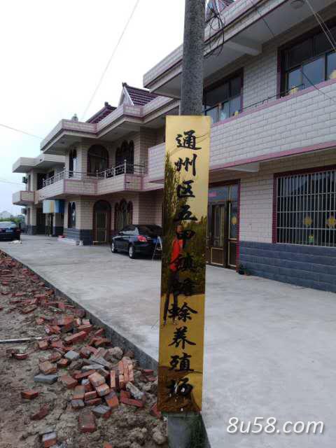 中药材蟾衣都在卖多少价格-孙国华