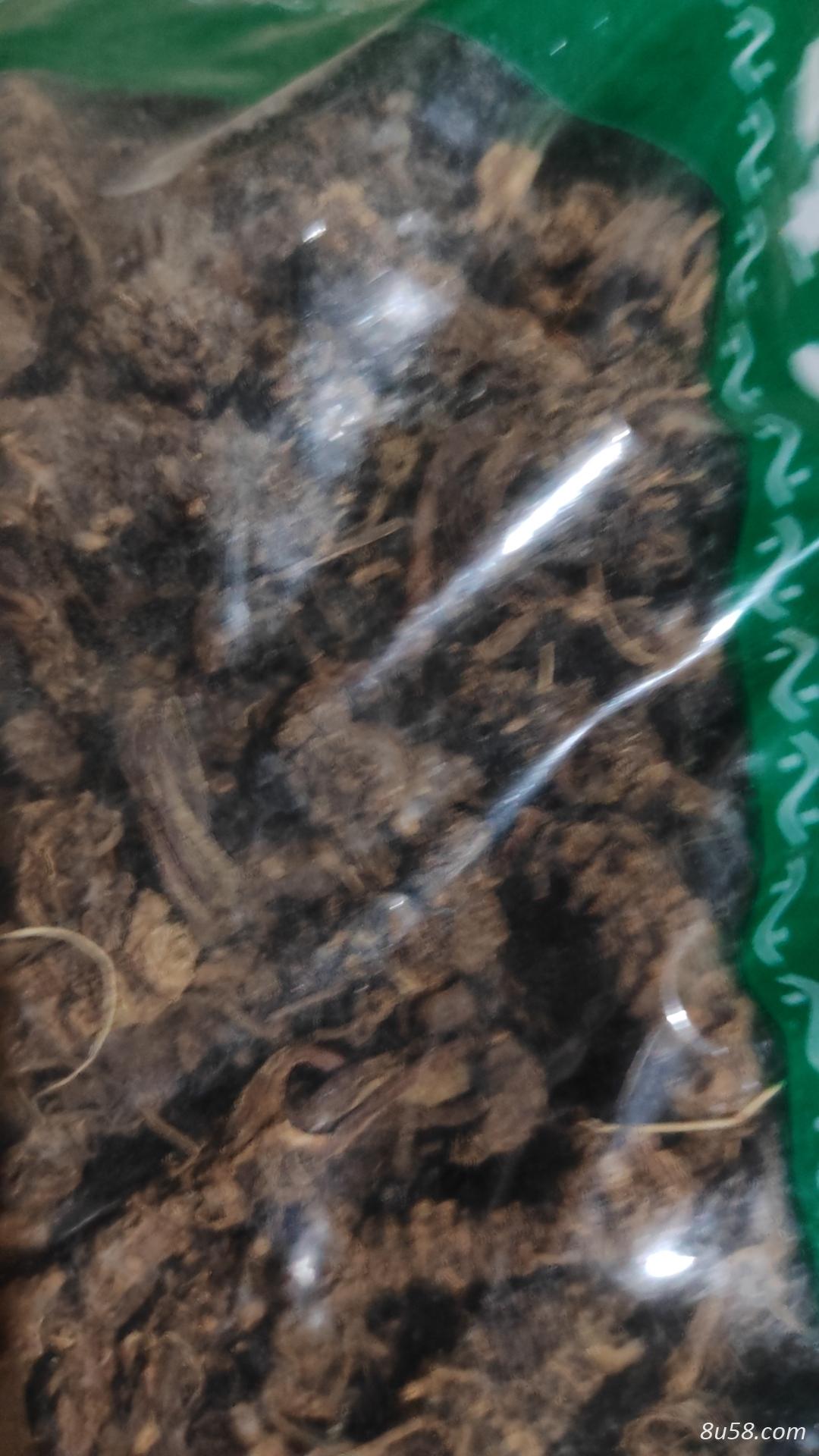 缬草（光）