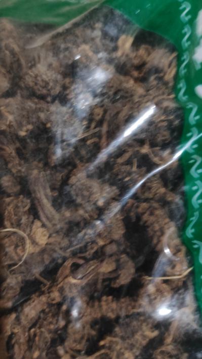 缬草（光）
