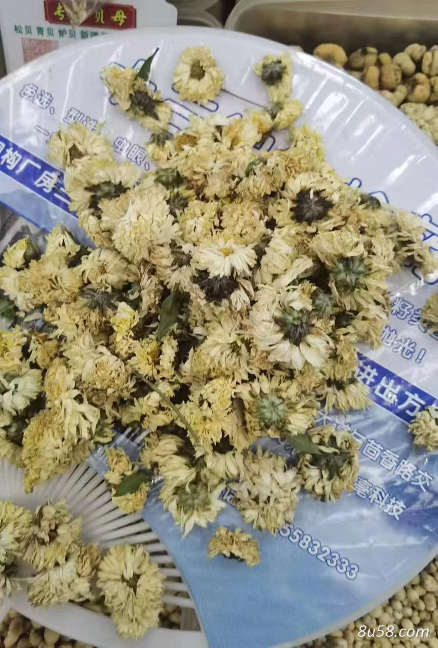 北京菊