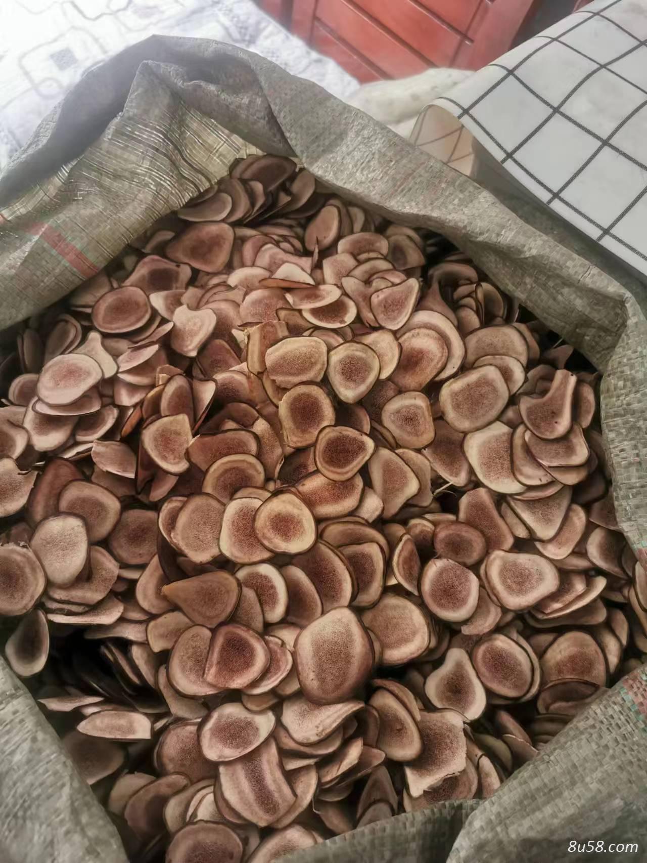 鹿茸片