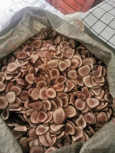 鹿茸片