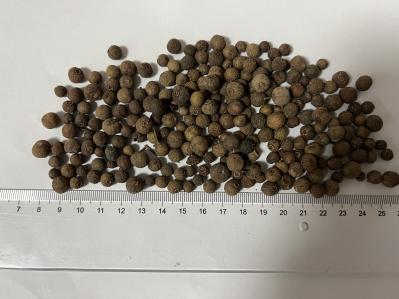 多香果