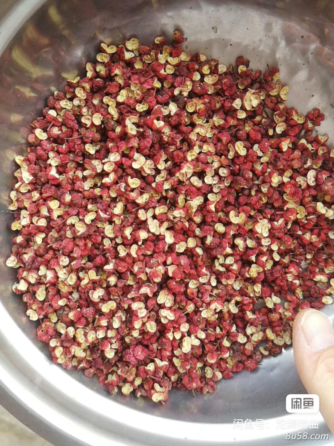 和甘肃天水大红袍几乎一样的甘肃平凉的花椒(自家种的包邮) 和甘肃天水大红袍几乎一样的甘肃平凉的花椒(自家种的包邮)