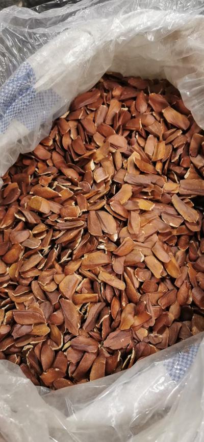 向天果